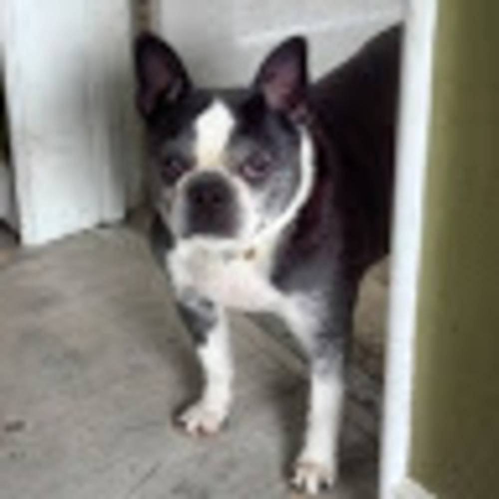 Meet your Posher, Vita